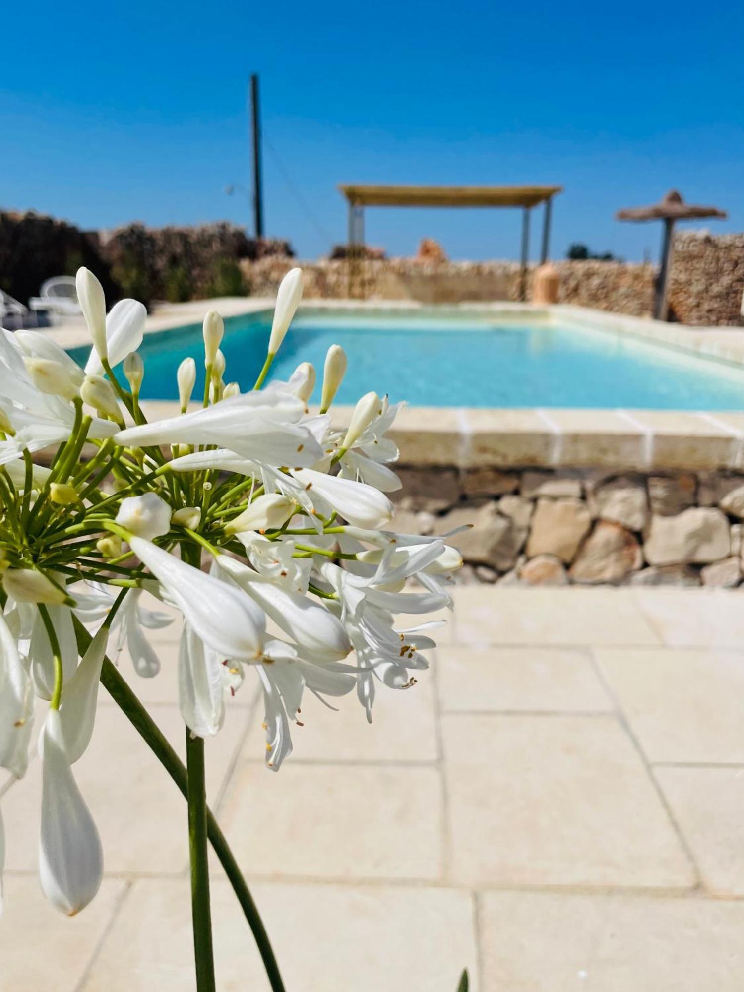 Masseria Voluzzi Copertino Bagian luar foto