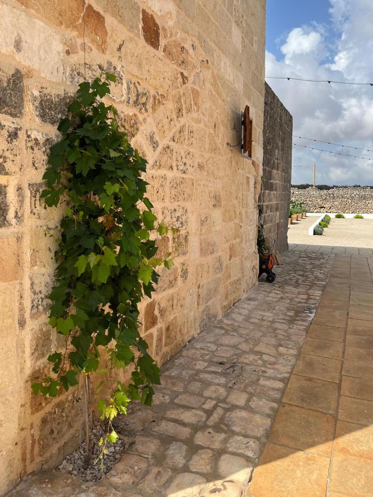 Masseria Voluzzi Copertino Bagian luar foto